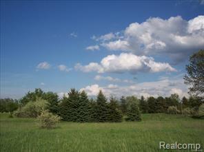 0 Vines Rd - Photo 1