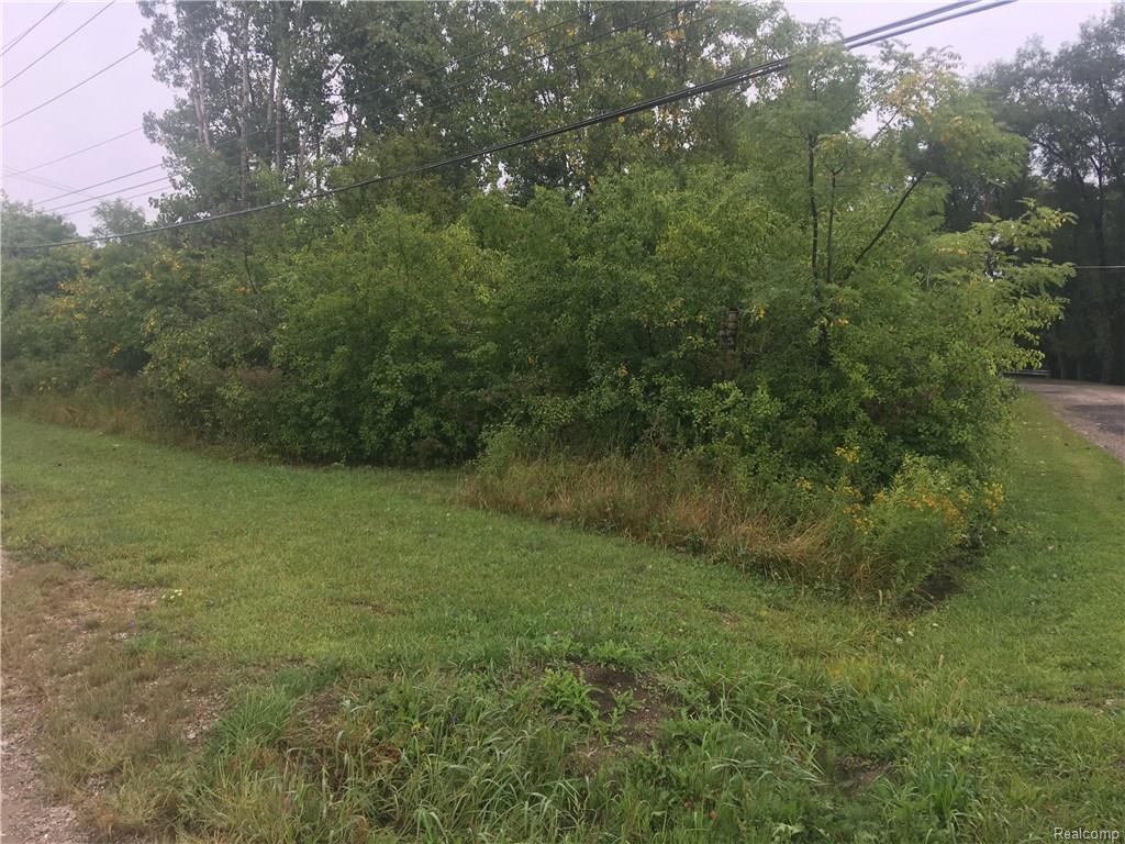 0 Shiawassee St - Photo 1