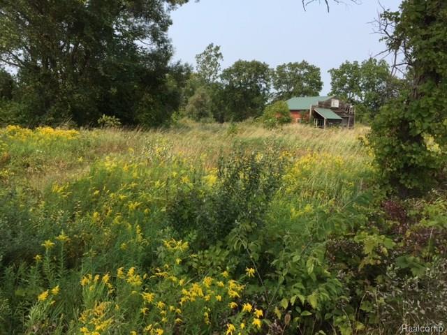 7621 Warren Rd - Photo 1
