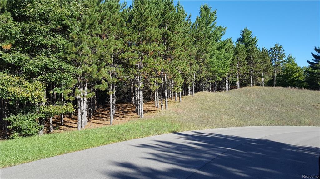 11042 French Crt - Photo 1