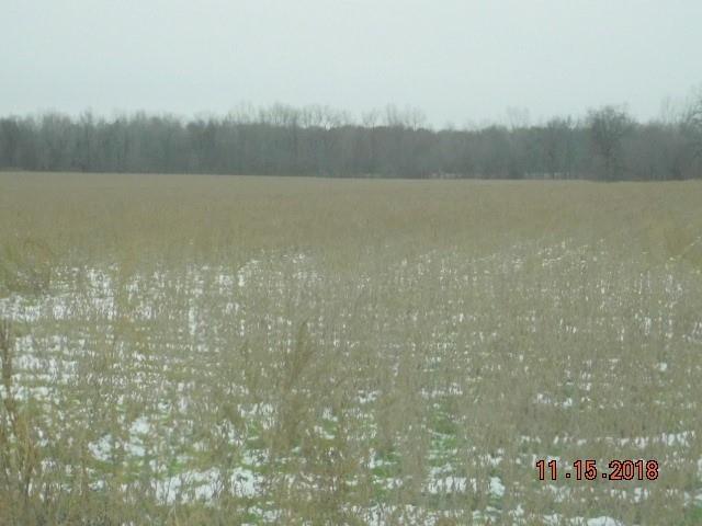 3770 Bowers Rd - Photo 1