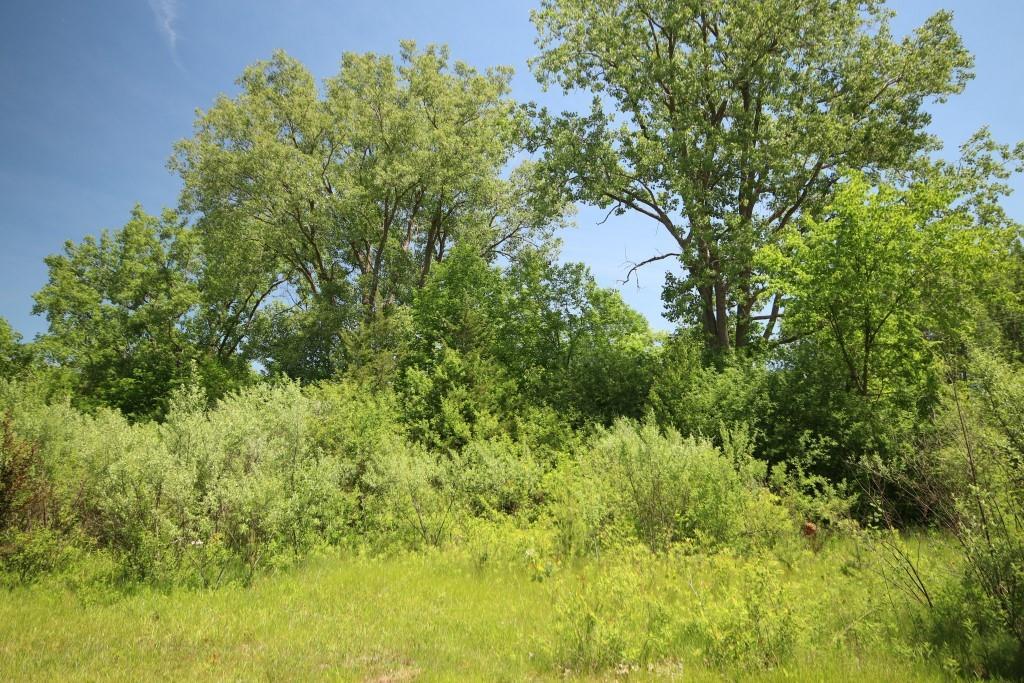 0 Mott Rd - Photo 1