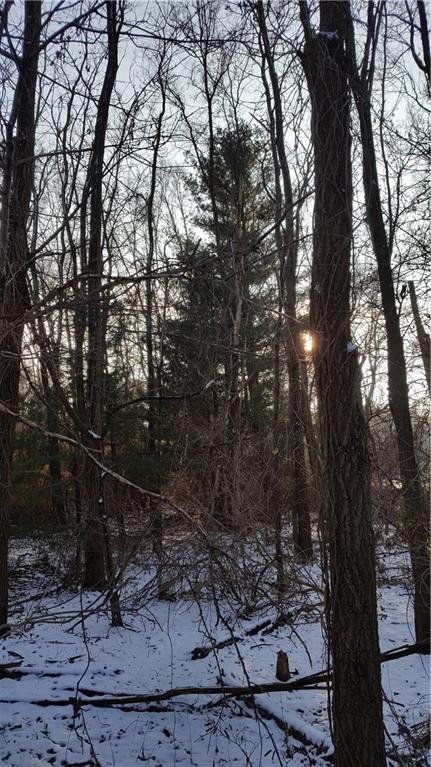 1 White Lake Rd - Photo 1