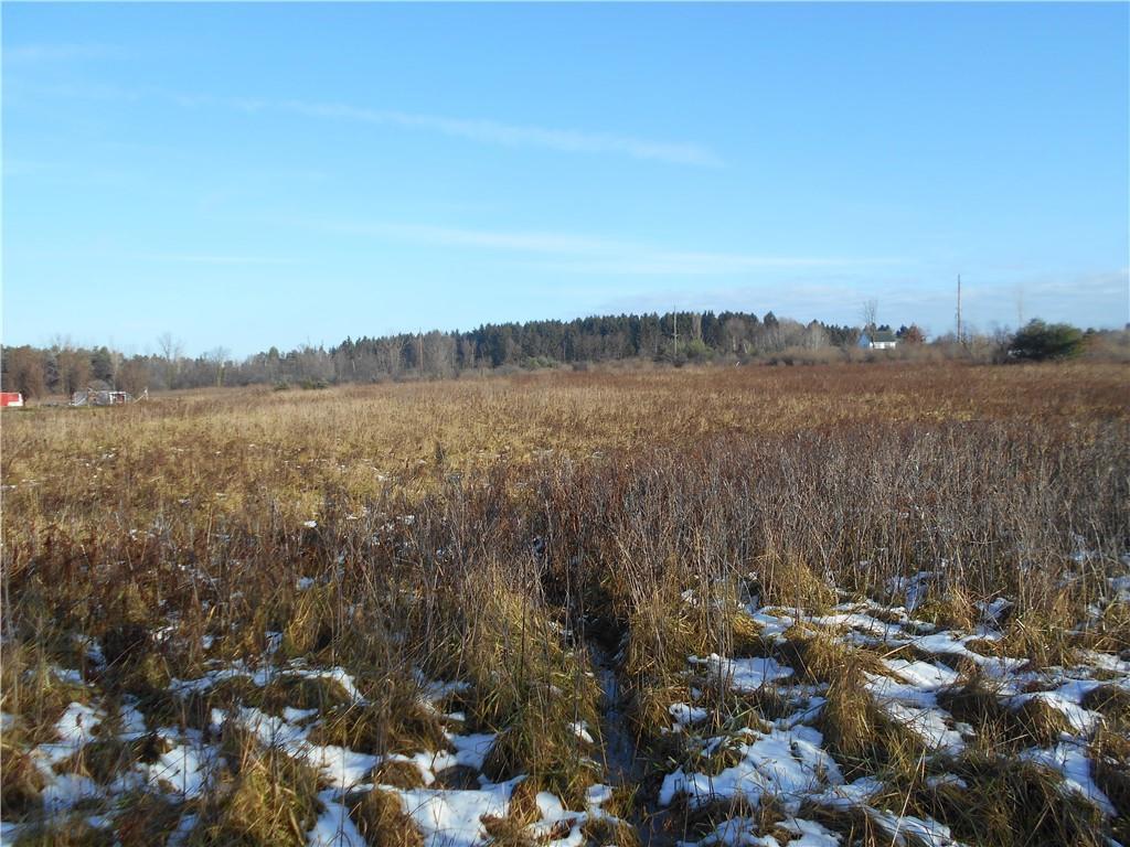 0 Piersonville Rd - Photo 1