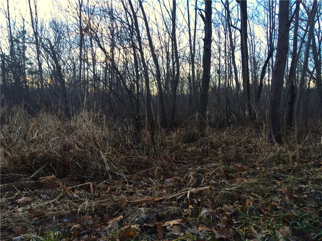 0 Kane Rd - Photo 1
