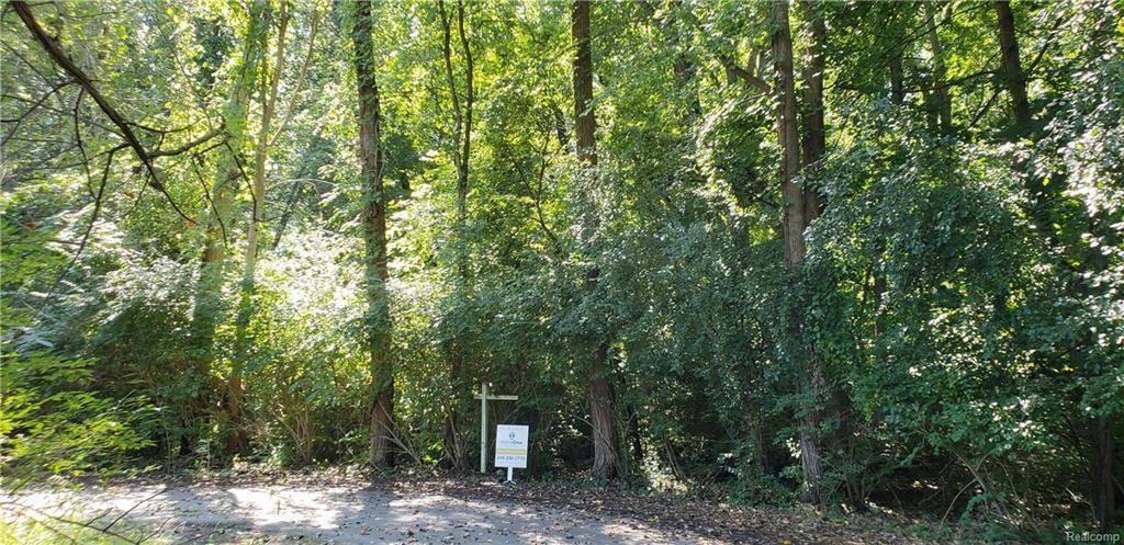 30958 Woodcrest Crt - Photo 1