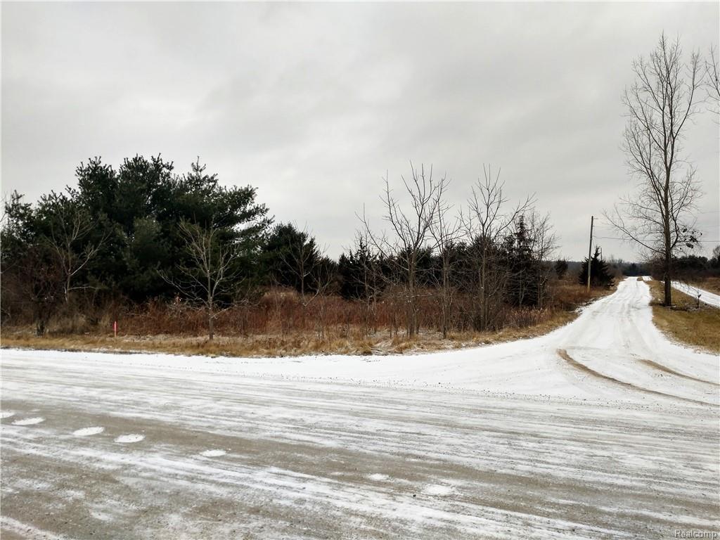0 Warner Road - Photo 1
