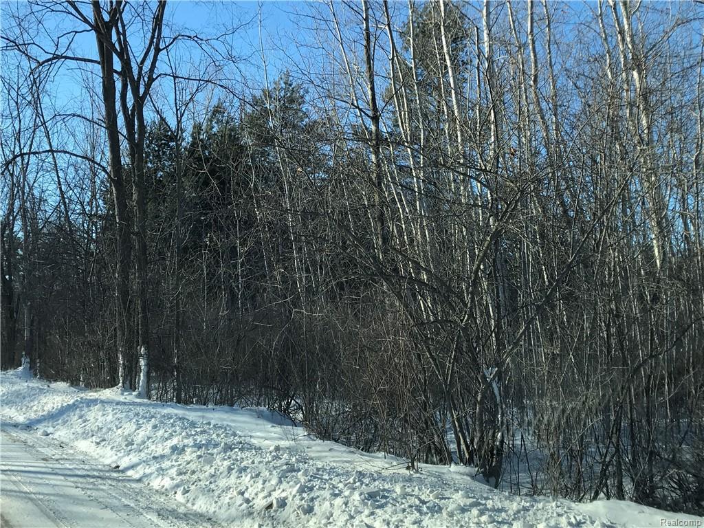 0 Cranbrook - Photo 1