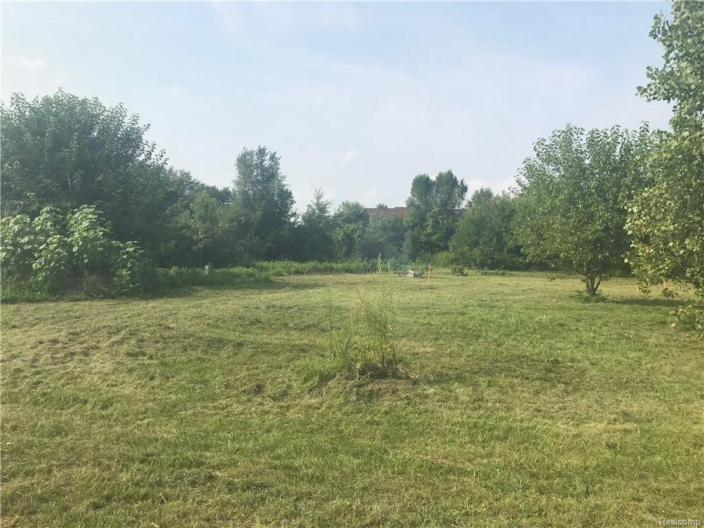 9005 Cheri Ln - Photo 1