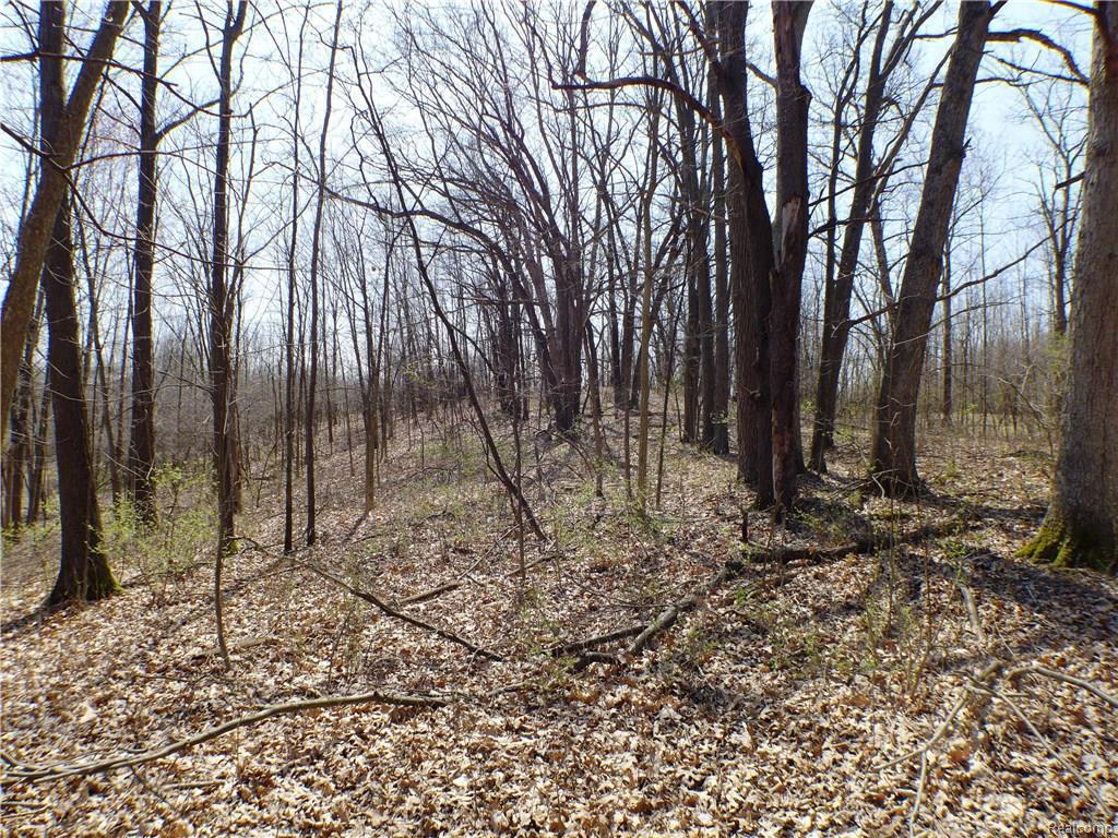 0 Windy Hill "B" Dr - Photo 1
