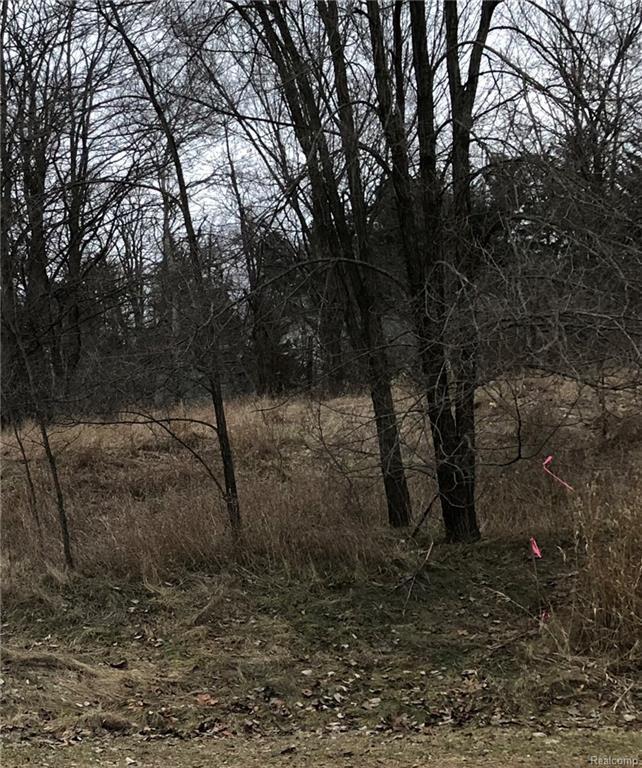 8317 Vassar Rd - Photo 1