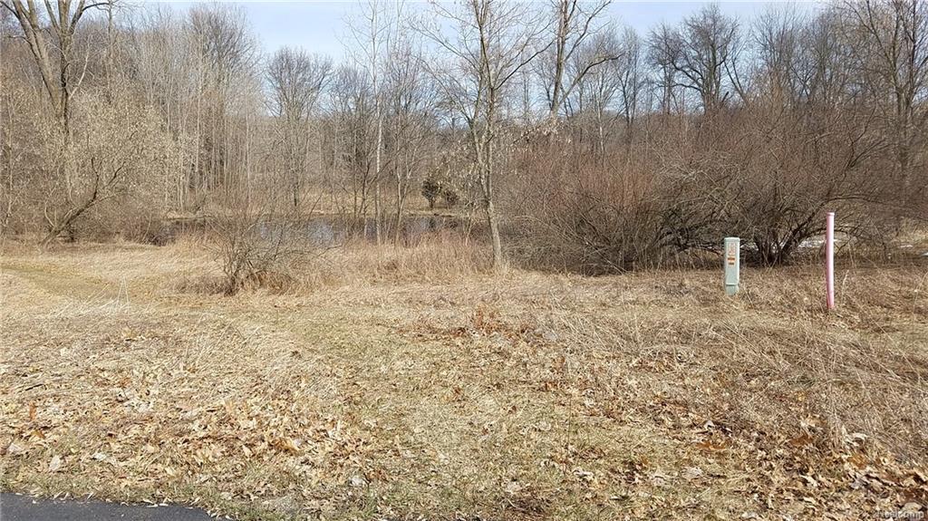 0 Hay Rake Hollow Crt - Photo 1