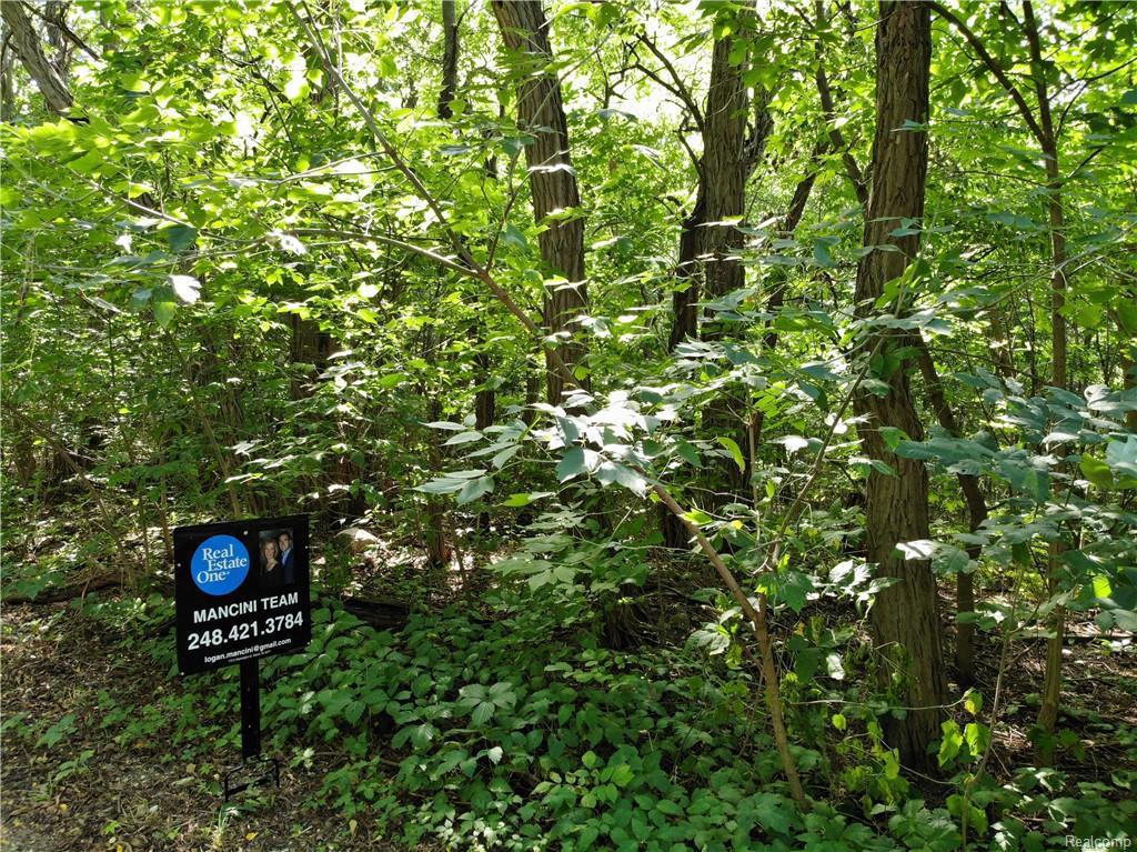0 Jossman Groveland Township - Photo 1