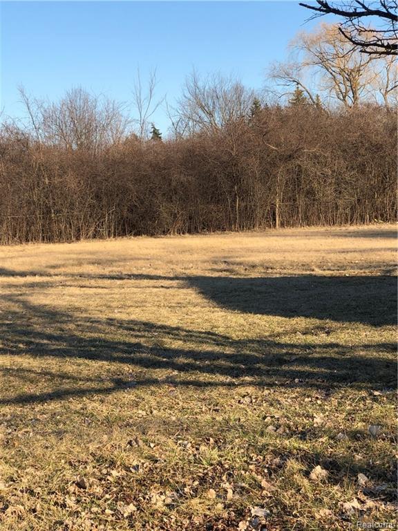 16301 Dix Toledo Rd - Photo 1