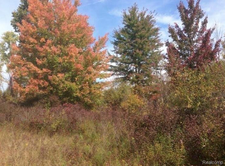 0 25 Mile Rd - Photo 1