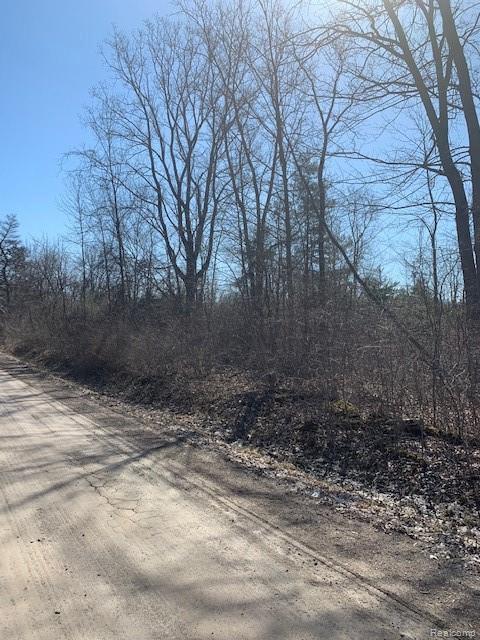 1358 Farrand Rd - Photo 1