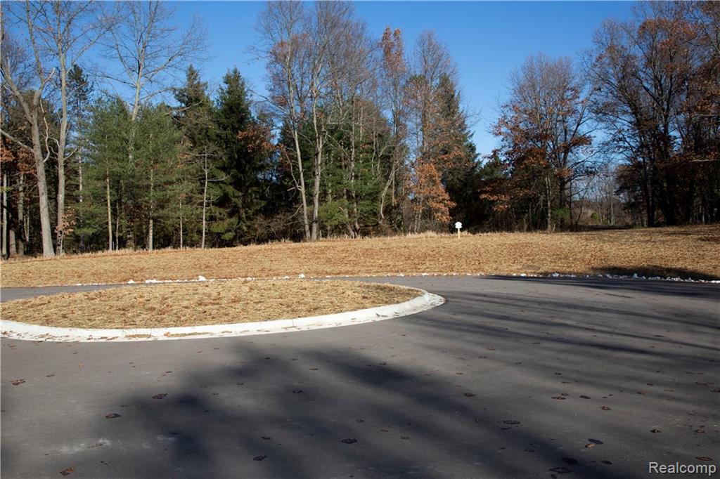 1339 Shephard Ln - Photo 1