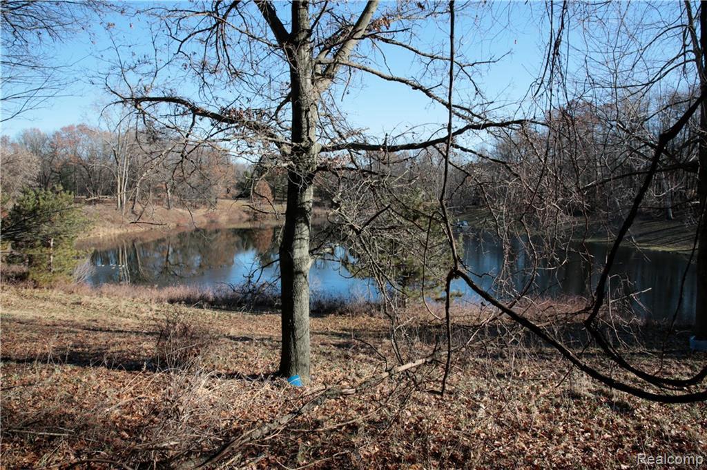 1275 Shephard Ln - Photo 1