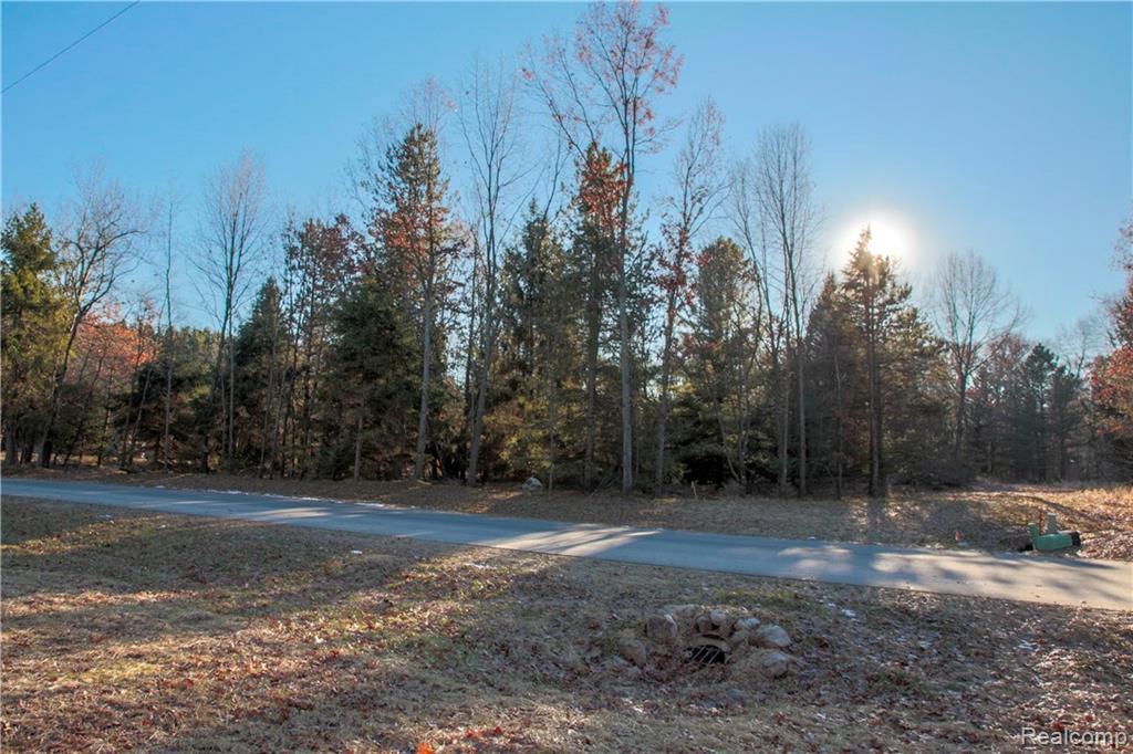 1564 Larkspur Ln - Photo 1