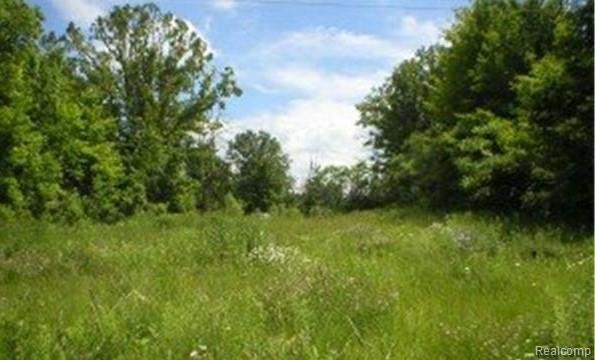 0 Walnut Lake Rd Rd W - Photo 1