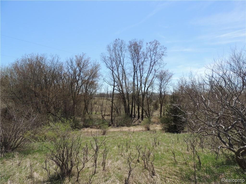 12000 Lawrence - Photo 1