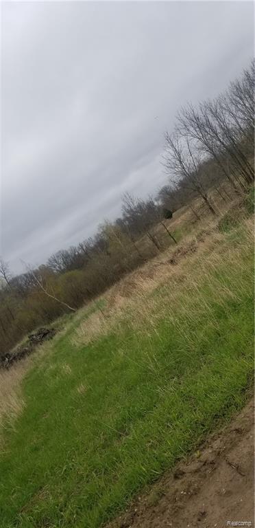 0 Steinacker Rd - Photo 1