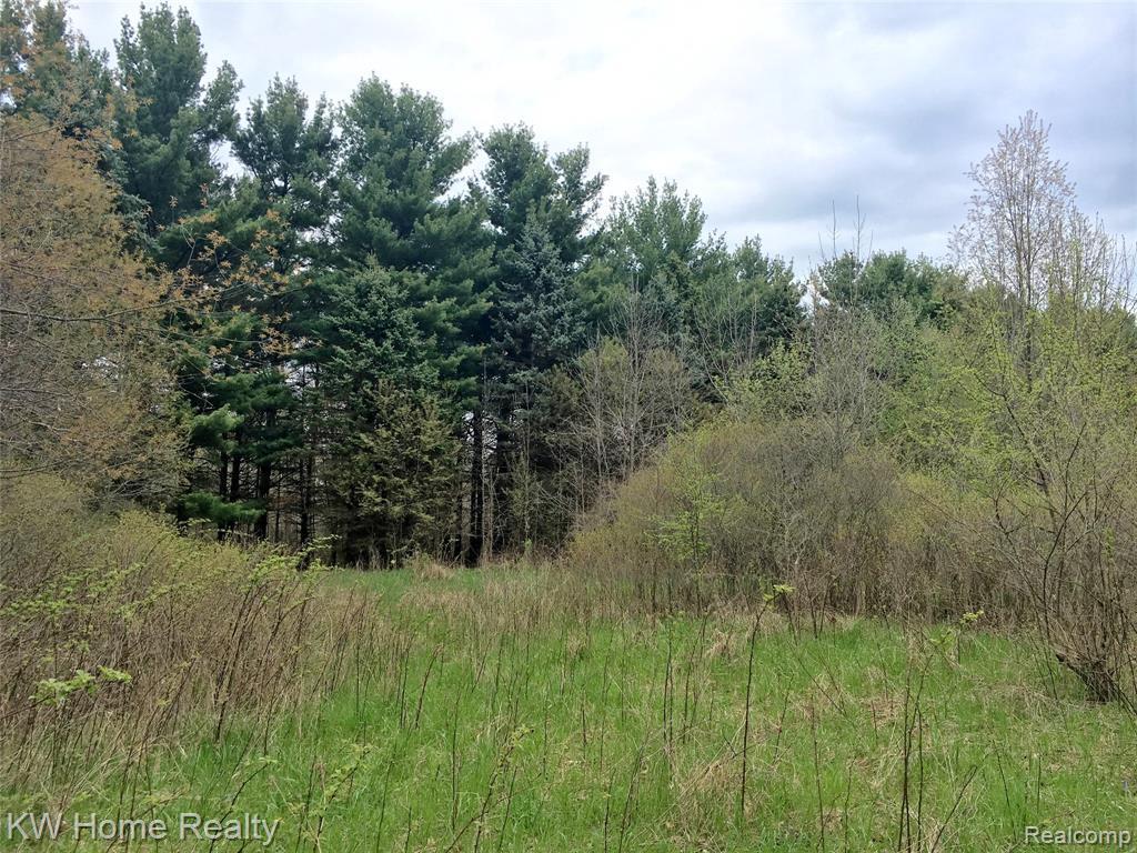 5600 Preston Rd - Photo 1