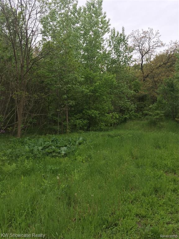 3445 Duck Lk. Rd - Photo 1