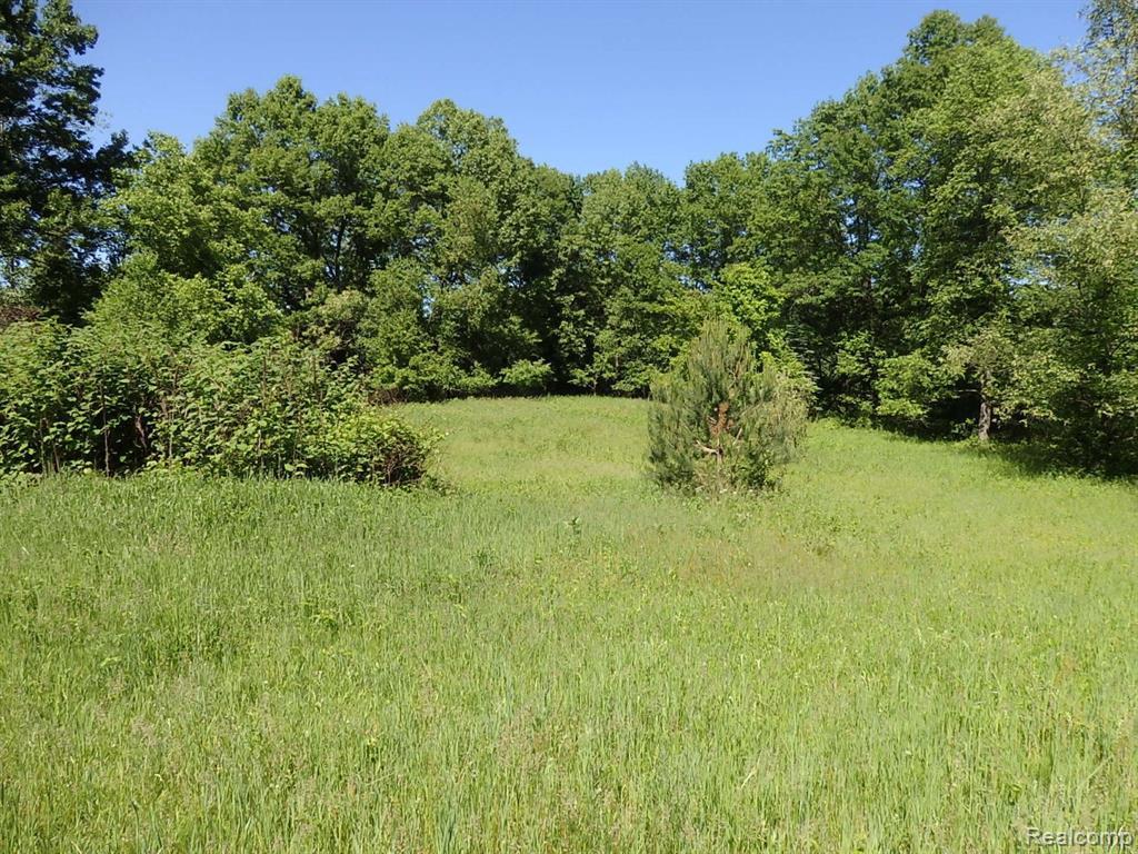 0 N. Baldwin Rd. - Photo 1