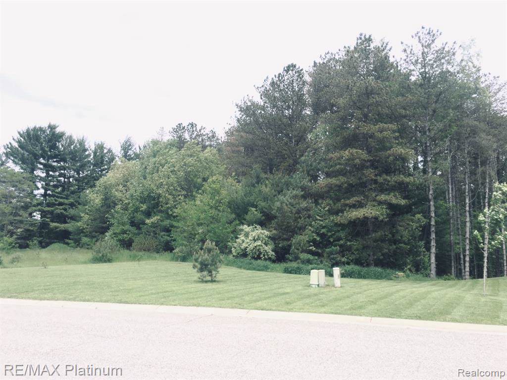 8529 Sunrise Mist Dr - Photo 1