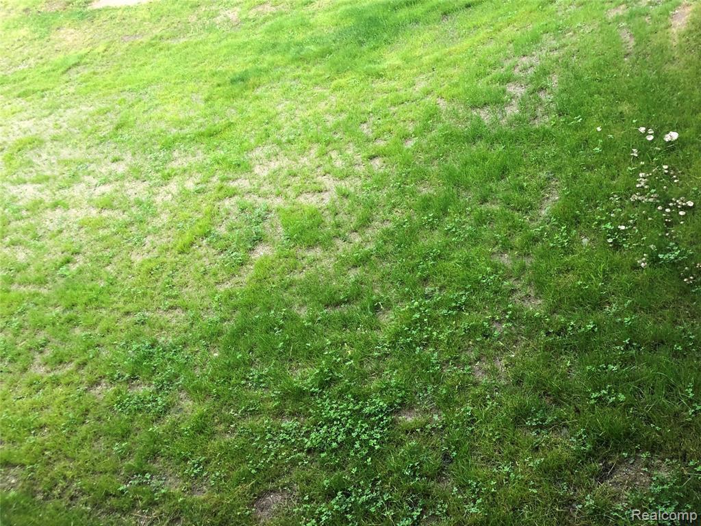 0 Gratiot - Photo 1