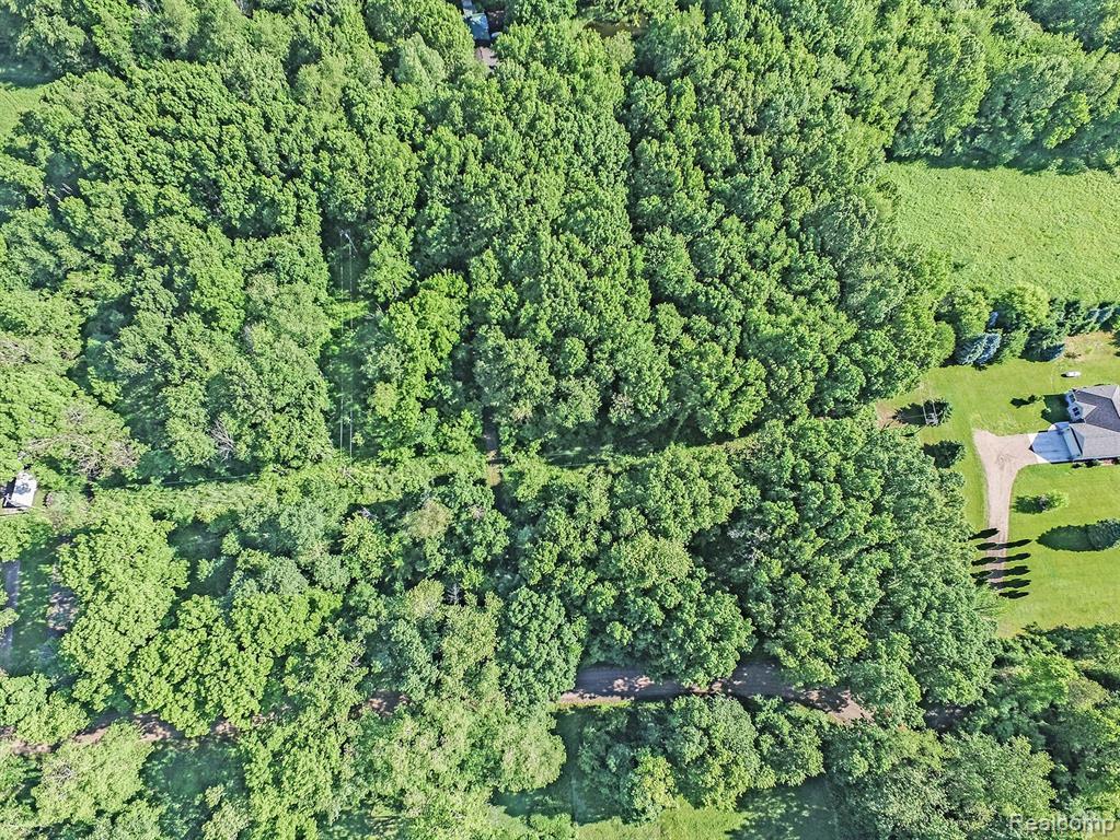 0 Lamoreaux Rd - Photo 1