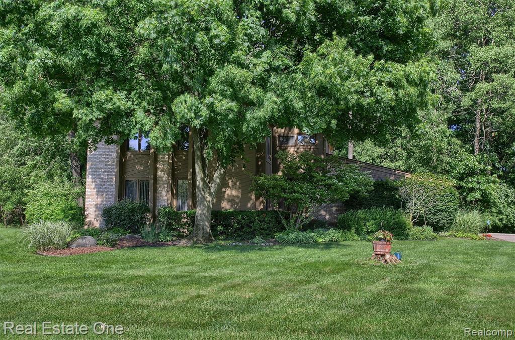 29202 Apple Blossom Ln - Photo 1