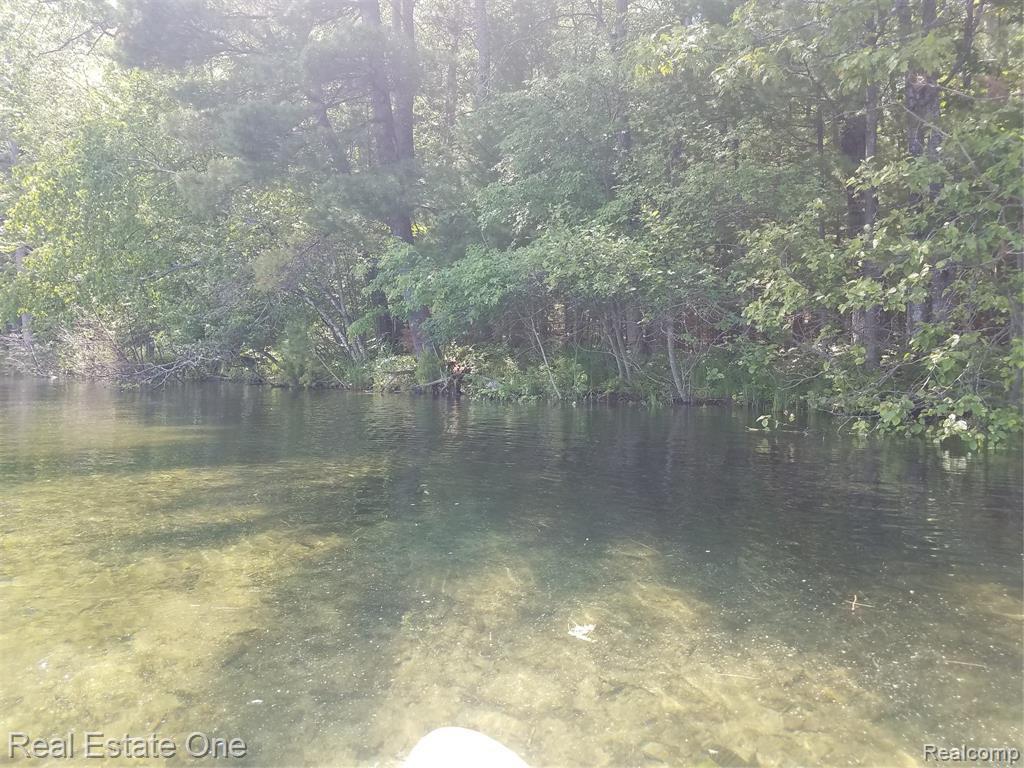 18605 Red Pine Dr - Photo 1
