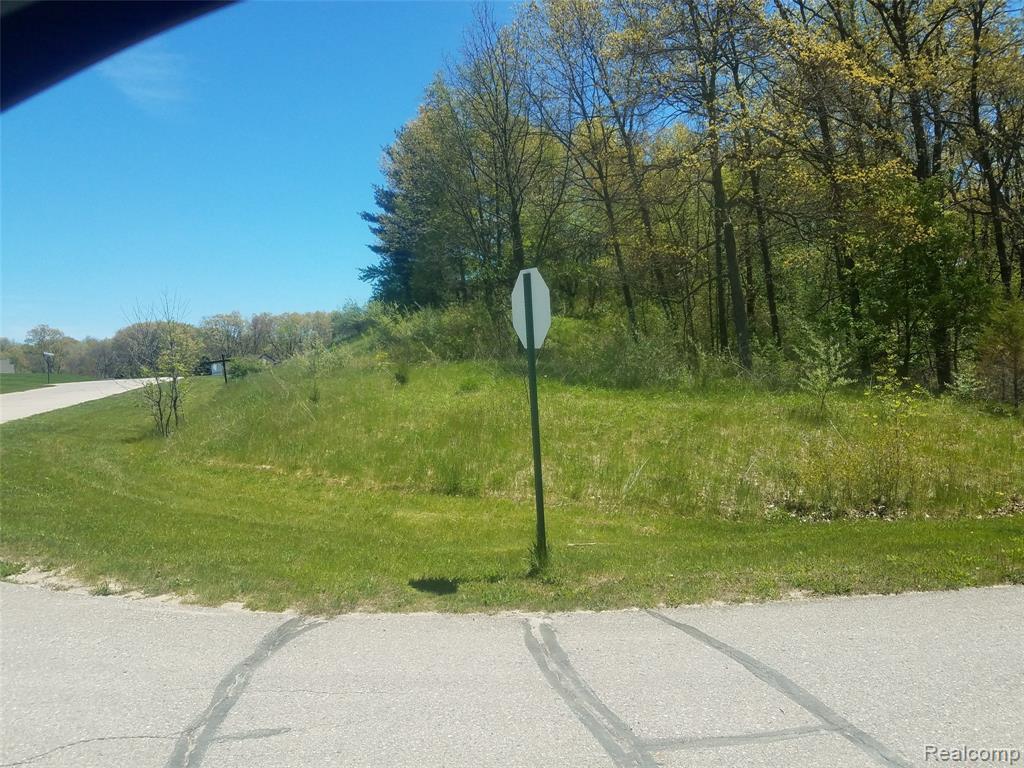 3790 Jeffrey Trl - Photo 1