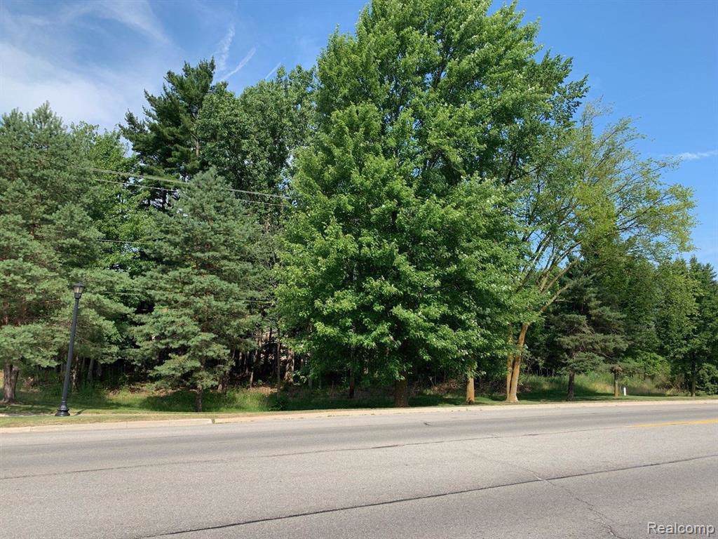 10299 Mill Pointe Drive - Photo 1