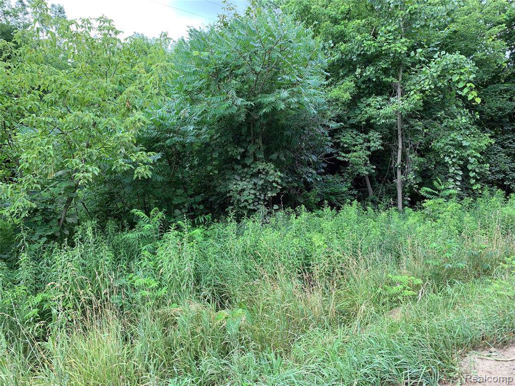 0 Allen Rd., Parcel 1-A - Photo 1