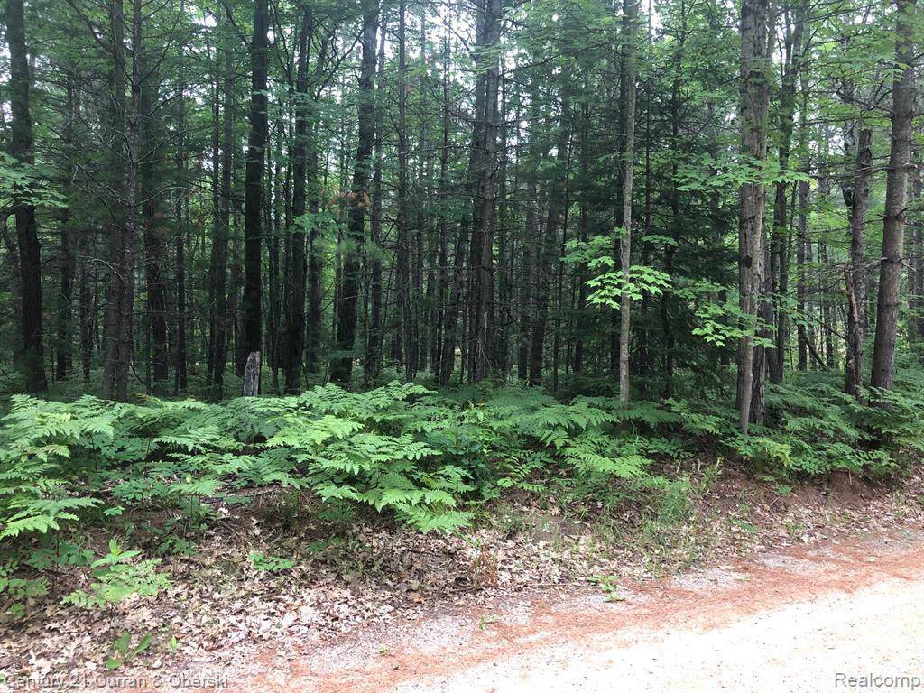 0 Birchcrest Dr - Photo 1