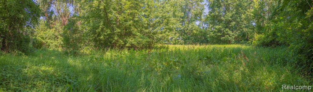 0 Gulley - Photo 1