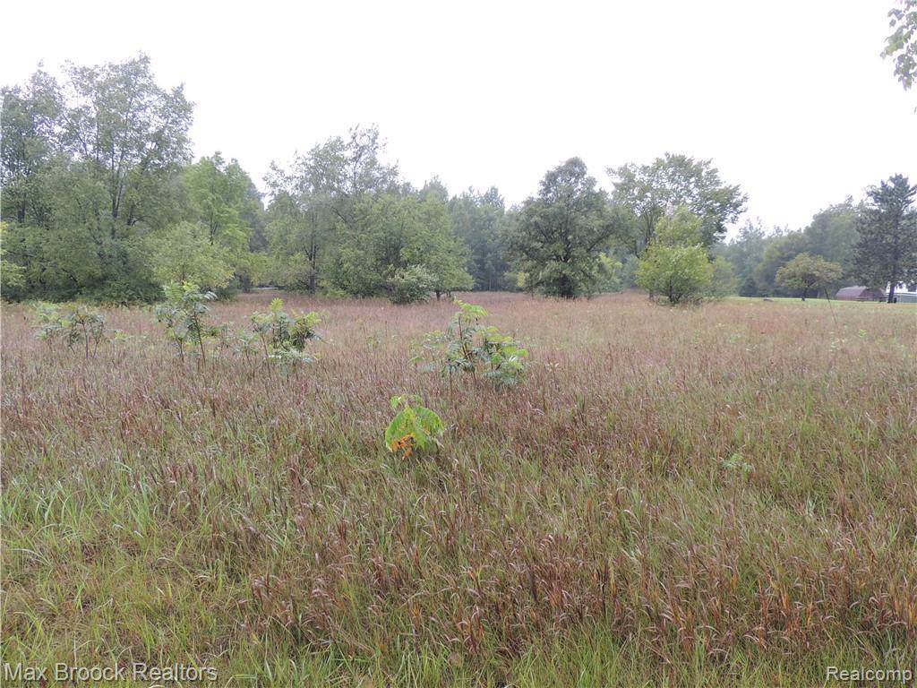 4175 Van Dyke - Photo 1