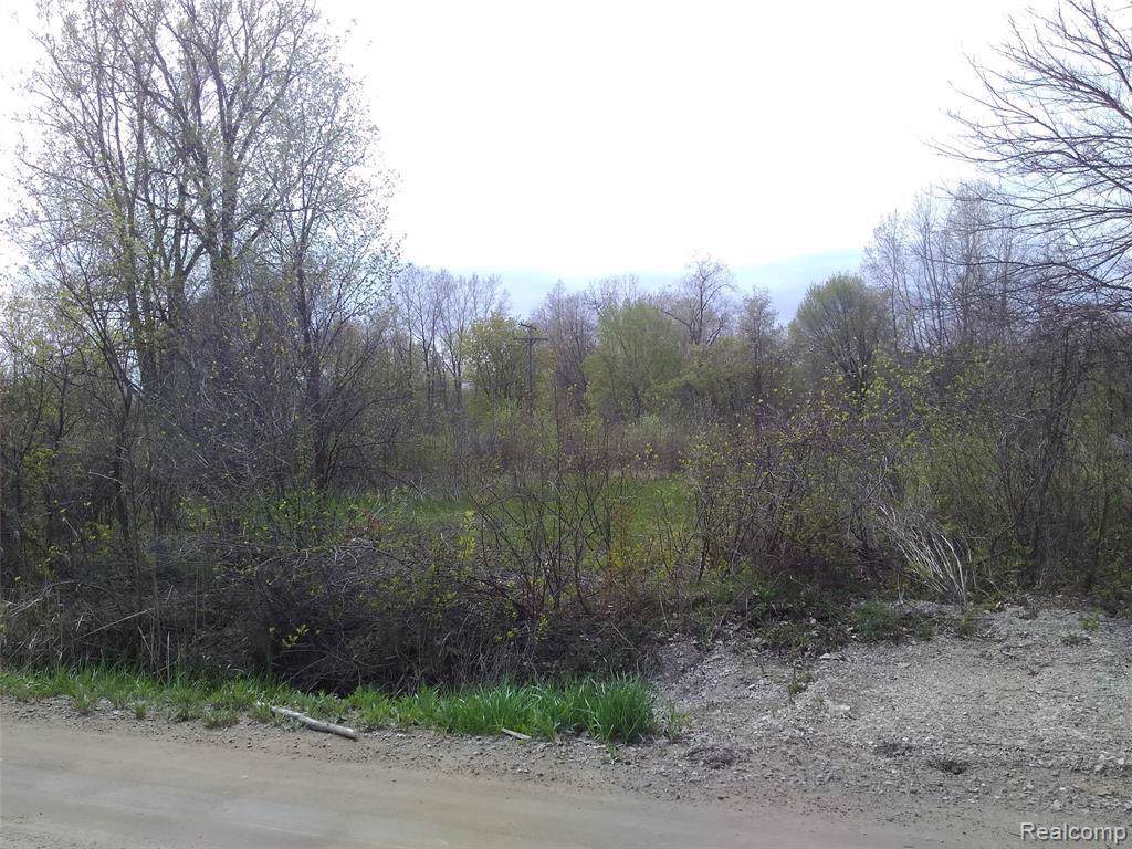 26774 Martinsville Rd Rd E - Photo 1