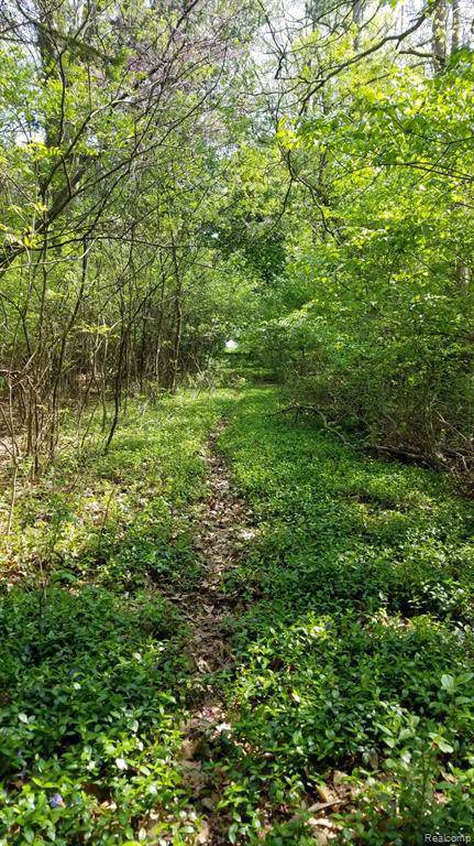 28700 12 Mile Rd - Photo 1