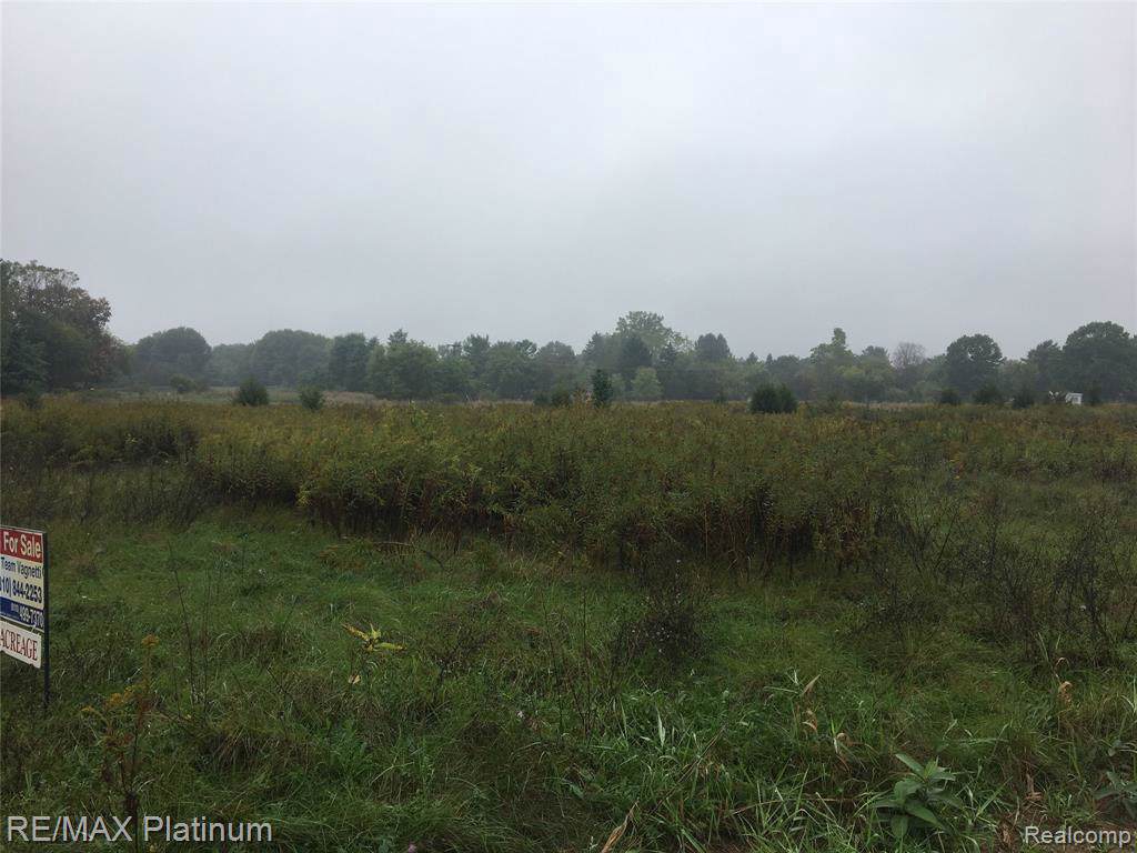 0 Patterson Lake - Photo 1
