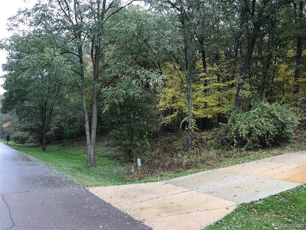 2919 Towering Oaks Drive - Photo 1