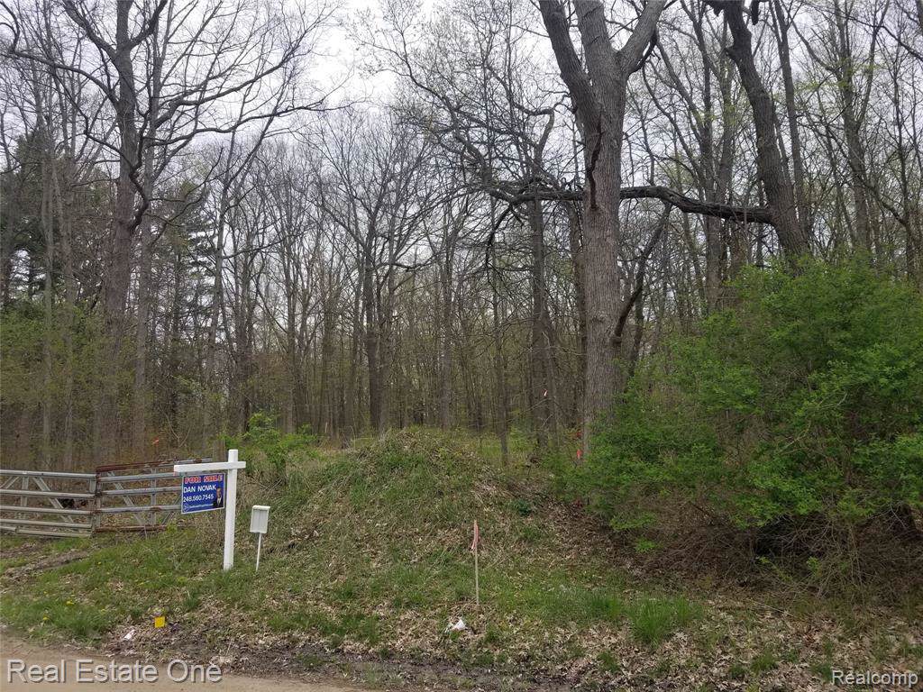 0 Dixboro - Photo 1