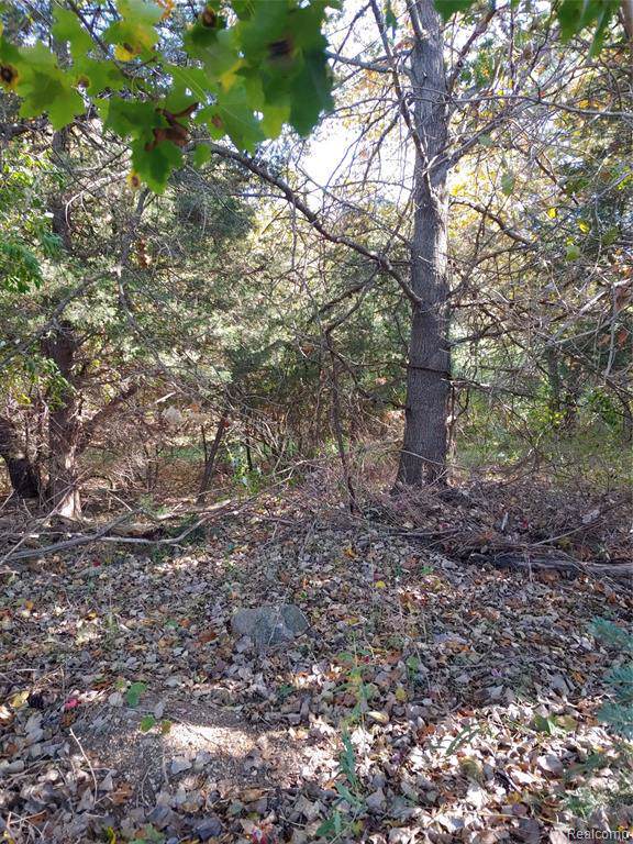 0 Elba Rd - Photo 1