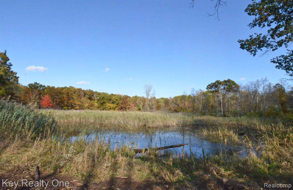 10700 Clark Road - Photo 1