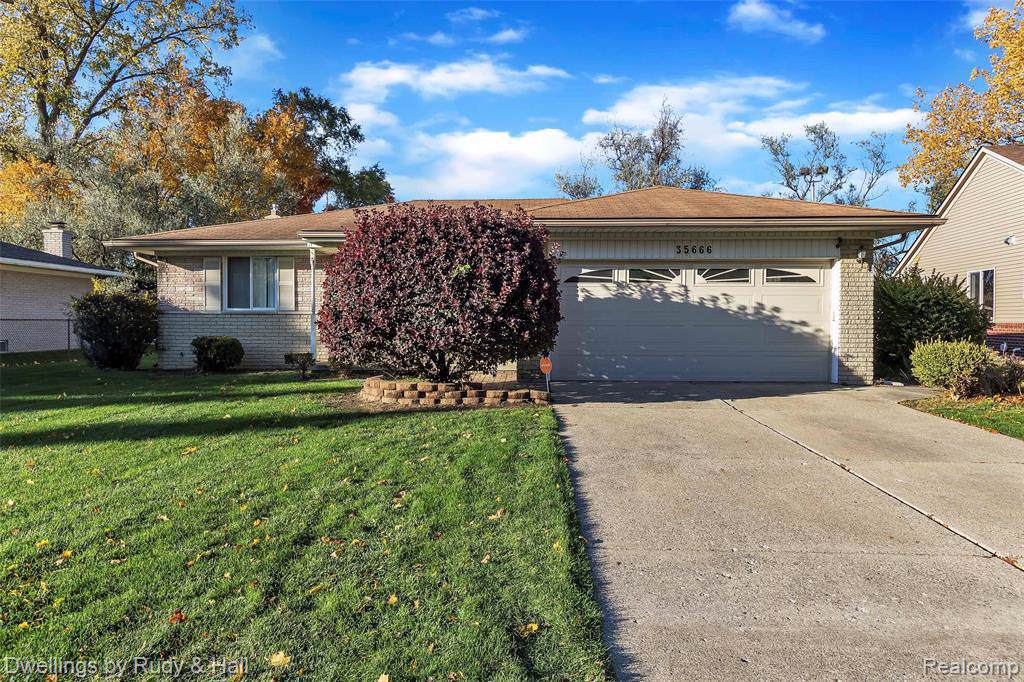 35666 Elmira St - Photo 1