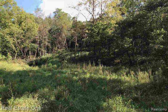 0 Huron Road - Photo 1