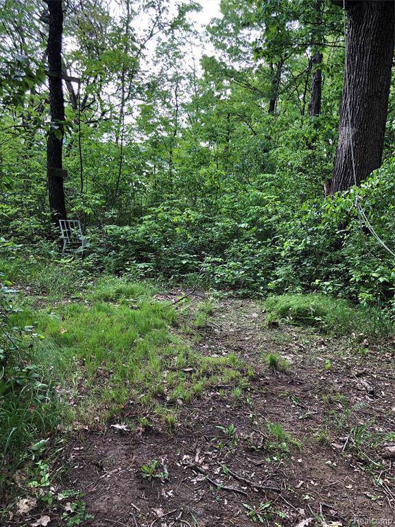 0 Horton Rd - Photo 1